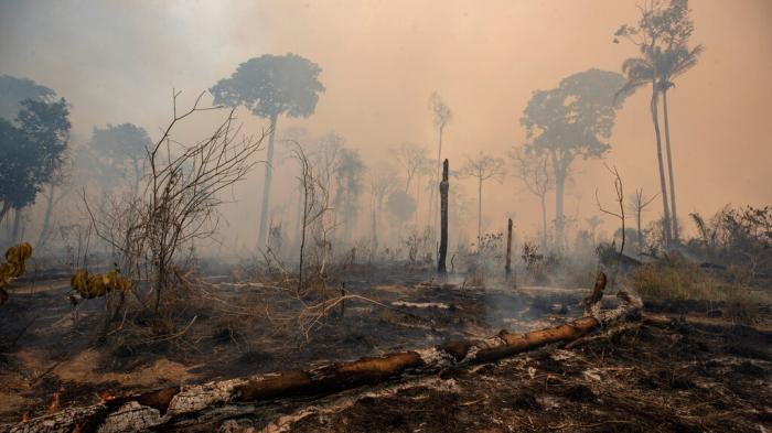 Fires near Novo Progresso, Brazil on August 23, 2020, burned land deforested by cattle farmers.