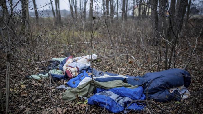 Blankets and sleeping bags strewn across a forest floor