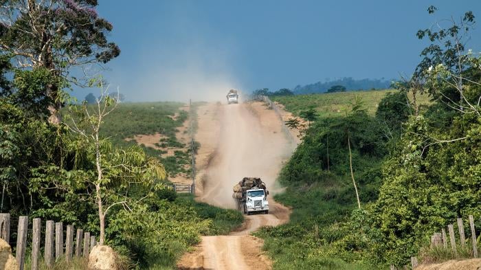 Trucks carrying illegally harvested logs exit the Terra Nossa settlement, September 30, 2019.