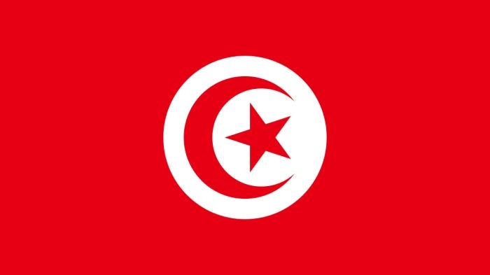 202302mena_tunisia_flag