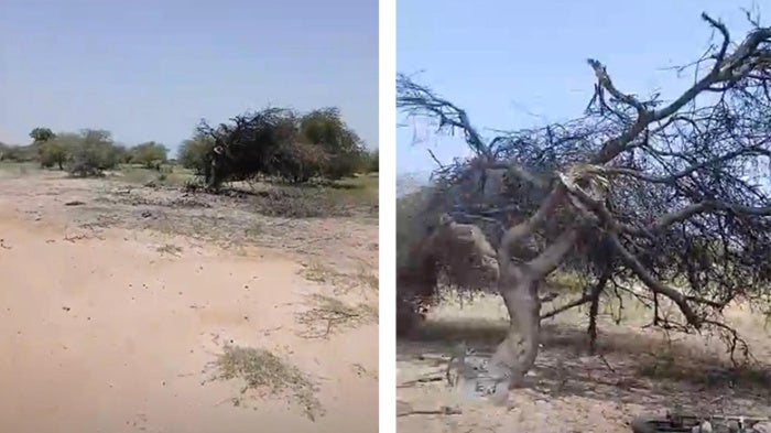 Aftermath of the apparent Malian military drone strike on September 16, 2026, in Guélédié village, Mopti region, Mali. Screenshots from video analyzed and geolocated by Human Rights Watch.