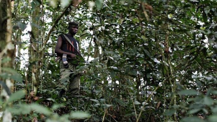 An FDLR fighter standing guard in a remote forest region of eastern Congo in February 2009. 