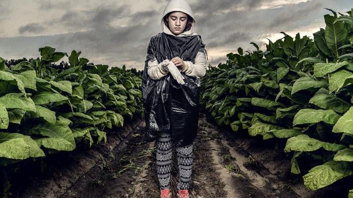 Teens of the Tobacco Fields: Child Labor in United States Tobacco Farming