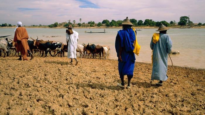 Peuhl animal herders waiting to cross the Bani River, near Sofara, central Mali.  On August 7, 2018, Dozo militia allegedly detained 11 Peuhl traders as they waited to cross the river to go to Sofara market, and later killed them.  