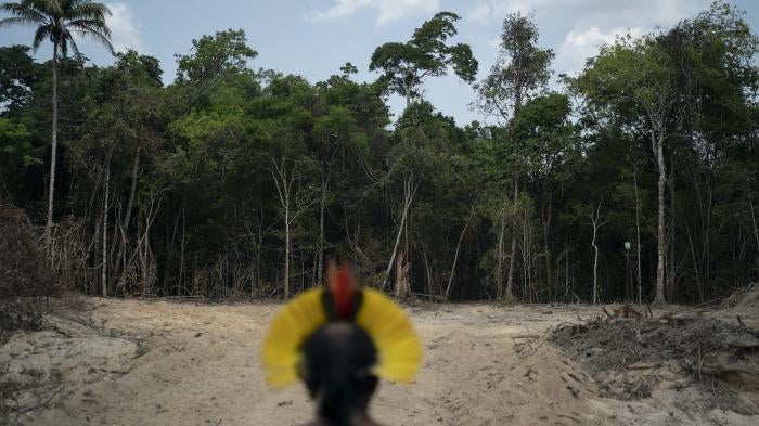 Krimej indigenous Chief Kadjyre Kayapo, looks out at a path created by loggers, in Altamira, Para state, Brazil, Saturday, Aug. 31, 2019. 