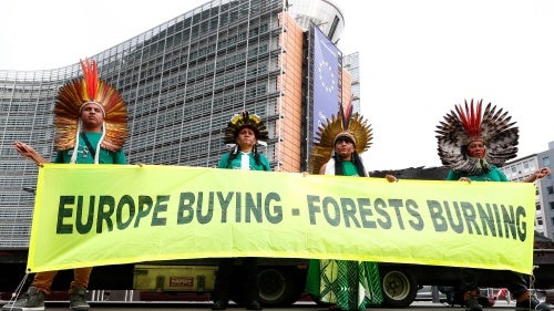 Sign that reads Europe buying, forests burning
