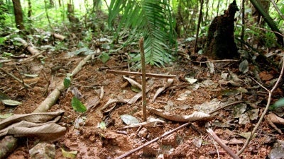 A cross marks graves near the Biaro refugee camp, an estimated 42 kilometers south of Kisangani, in eastern Democratic Republic of Congo, May 18, 1997.