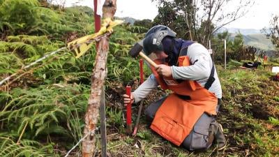 A deminer works in Algeciras, Huila Department, Colombia in July 2020.  