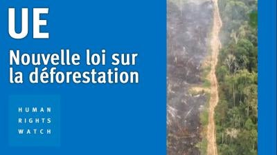 202305EHR_EU_Deforestation_Law_MV_Img_FR