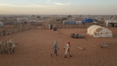 Mali - World Report 2026