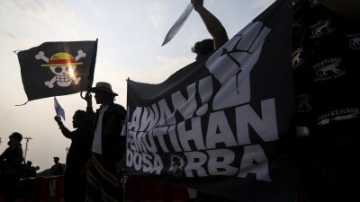 Activists wave the Straw Hat Pirates' Jolly Roger flag from the anime One Piece.