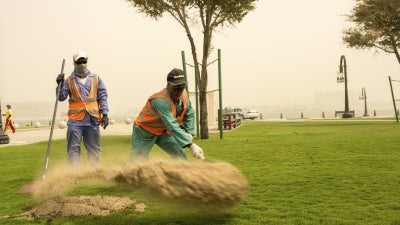 Qatar - World Report 2026