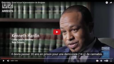 Vidéo sur les effets dévastateurs de la criminalisation de la possession de drogues aux Etats-Unis. https://youtu.be/97i5vzNy2v4