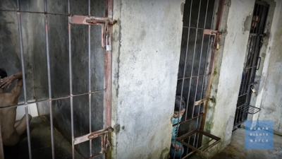 Breaking the Chains in Indonesia: Daily Brief