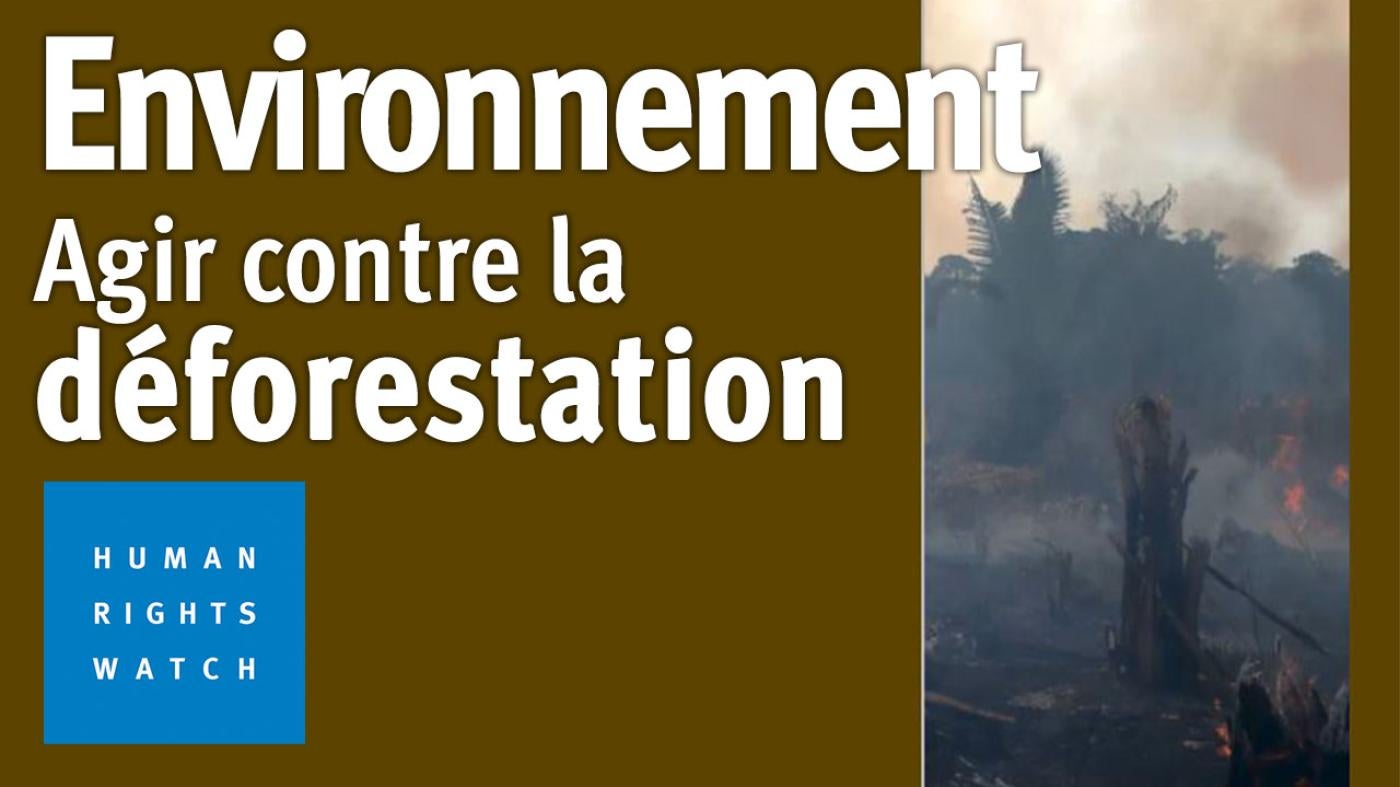 202306EHR_Deforestation_MV_Img_FR