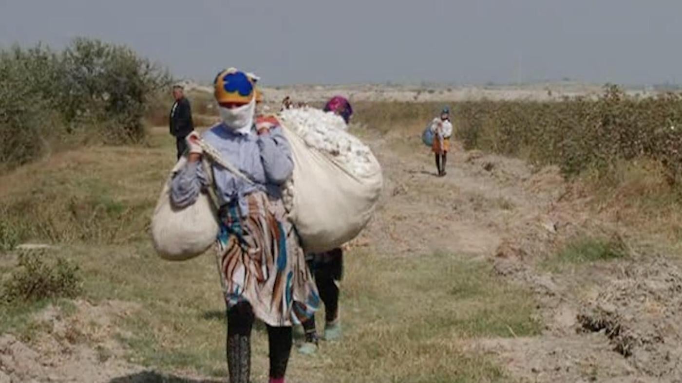 A woman wearing a scarf that covers her face walks down a farm road carrying heavy sacks filled with cotton.
