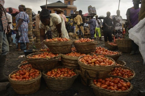 Rising Food Prices Deepen Nigeria’s Poverty Crisis | Human Rights Watch