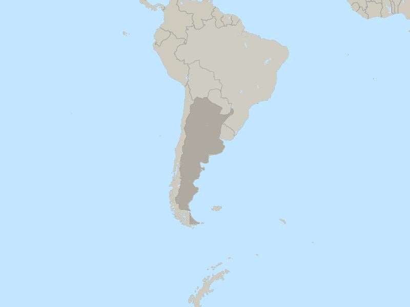 Доклад: Аргентина