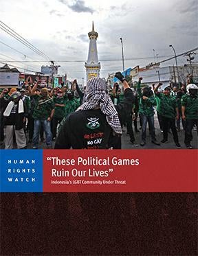 Cover for the Indonesia Report
