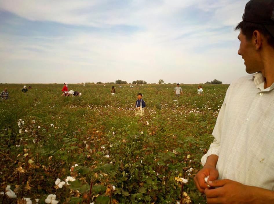 棉田童工，2012年9月，苏以马帕克塔柯尔（Suyima Pakhtakor, Jizzakh）。