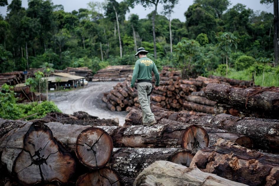 A federal agent walks on top of timber illegally harvested and extracted from Pirititi Indigenous Territory in Roraima State, Brazil, on May 7, 2018. The Brazilian Institute of the Environment and Renewable Natural Resources (IBAMA), Brazil’s main environmental law enforcement agency, apprehended 7,387 logs in that operation.