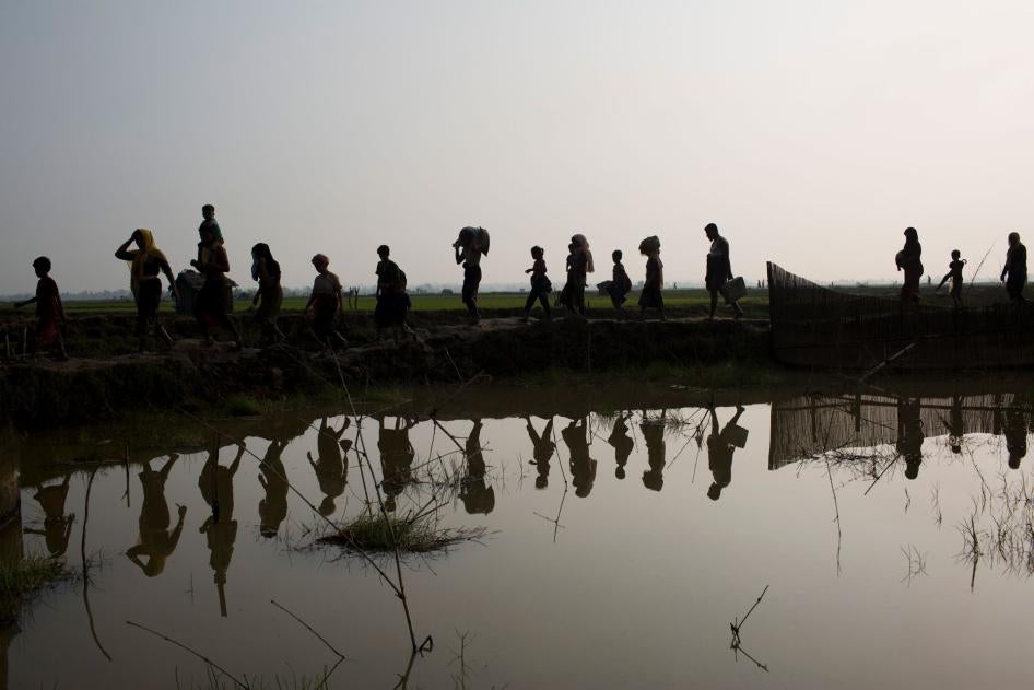 Members of Myanmar's Rohingya ethnic minority walk through rice fields after crossing the border into Bangladesh near Cox's Bazar's Teknaf area, September 5, 2017.