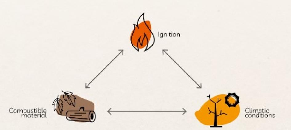 Illustration depicting how combustible material, climatic conditions, and ignition contribute to widespread fires in the Amazon