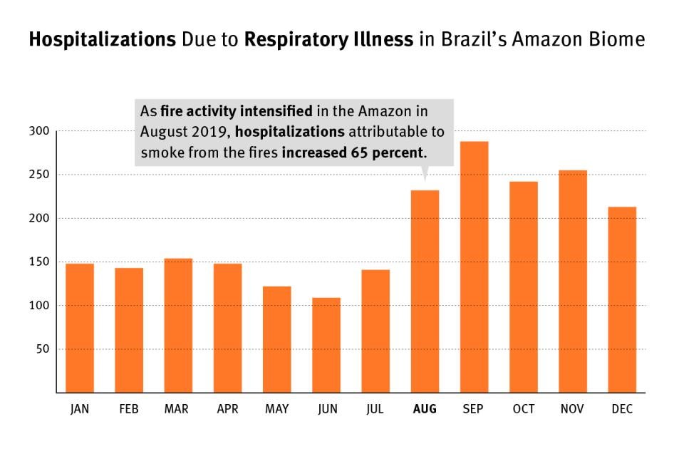 Hospitalizations Brazil Air Quality