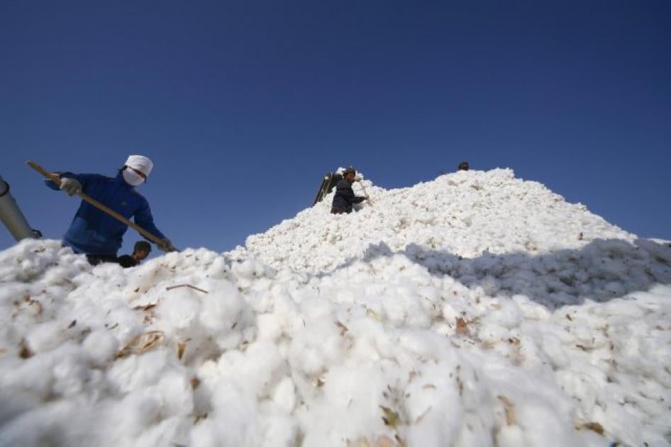 People work amidst massive piles of cotton in China's Xinjiang province. 