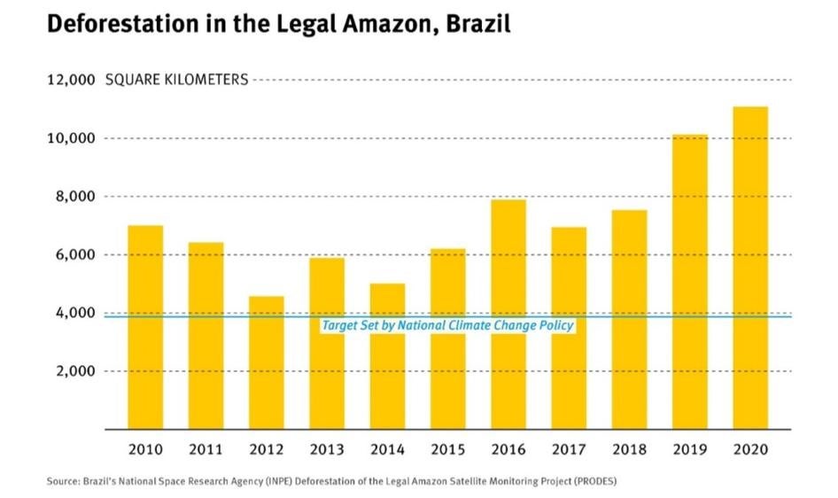 Amazon Grafic