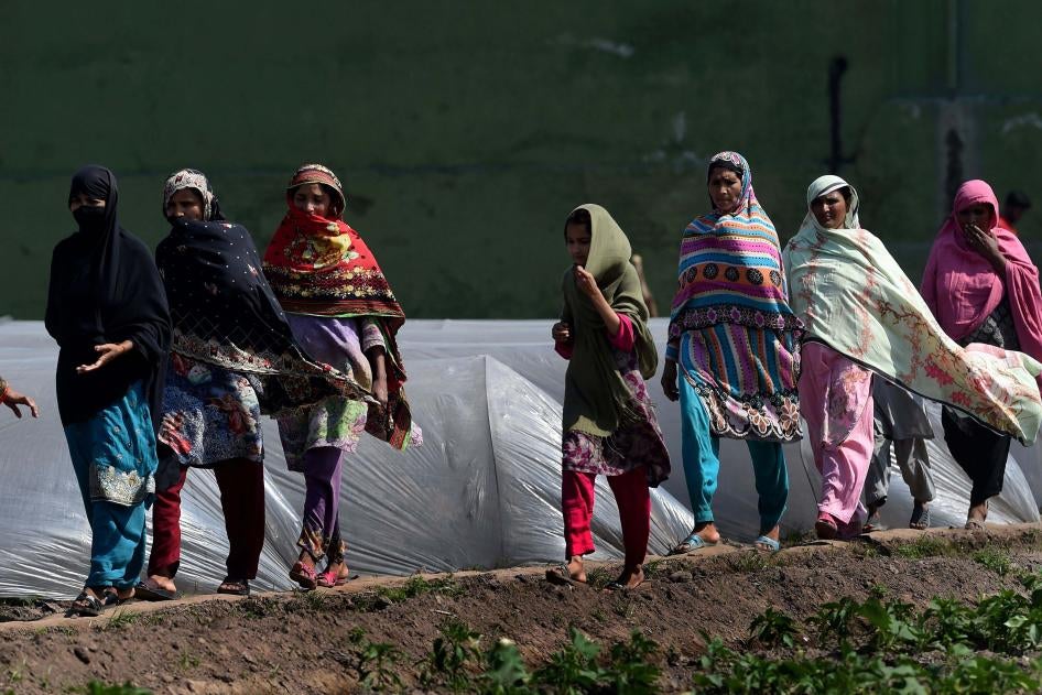 Women arrive at an agricultural farm