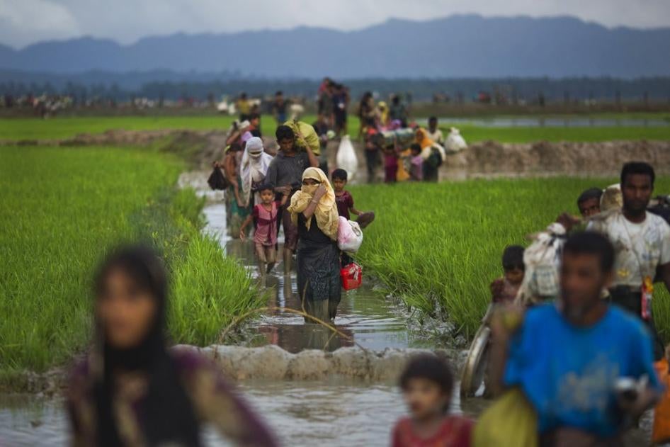 Ces Rohingyas ayant fui le Myanmar traversaient des rizières près de Teknaf, au Bangladesh, après avoir franchi la frontière entre les deux pays le 1er septembre 2017.
