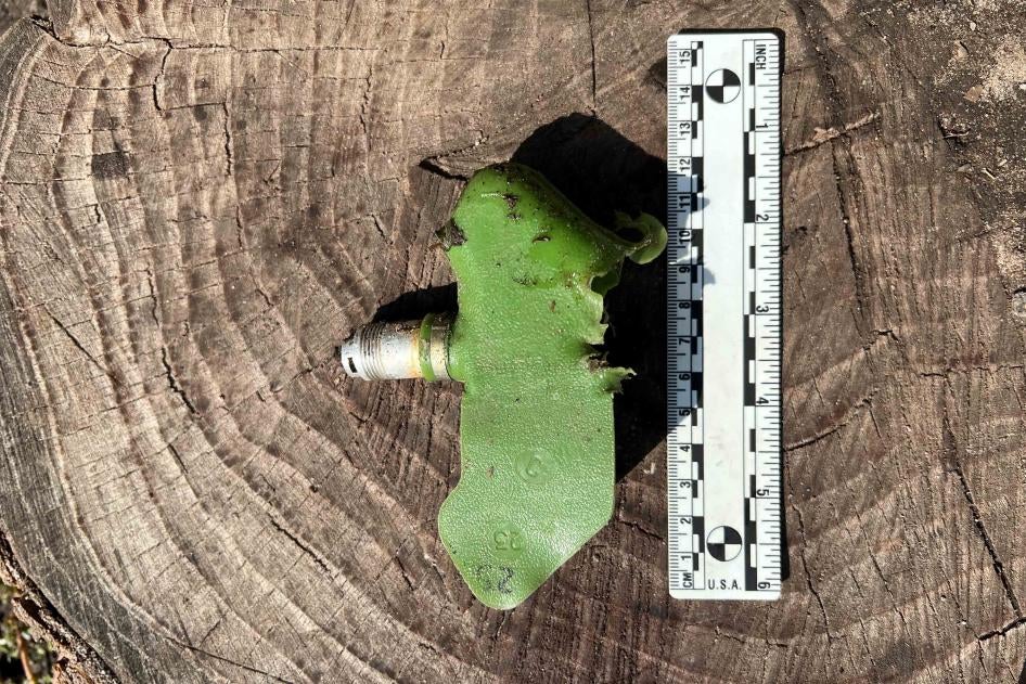 Picture of a small green "butterfly" or "petal" mine next to a ruler sitting on a tree stump