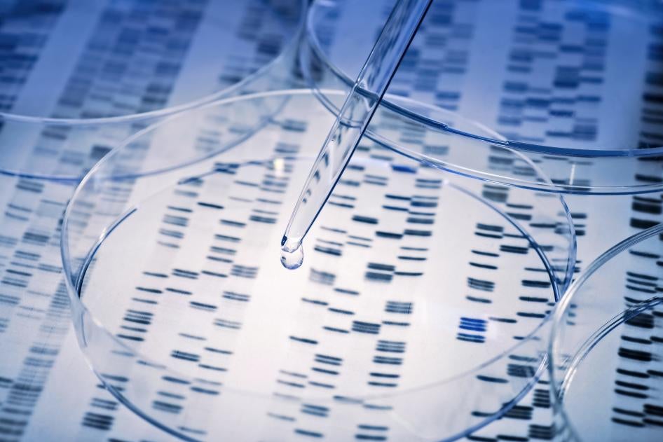 Образец ДНК переносится пипеткой в питательную среду, 20 января 2020 года.