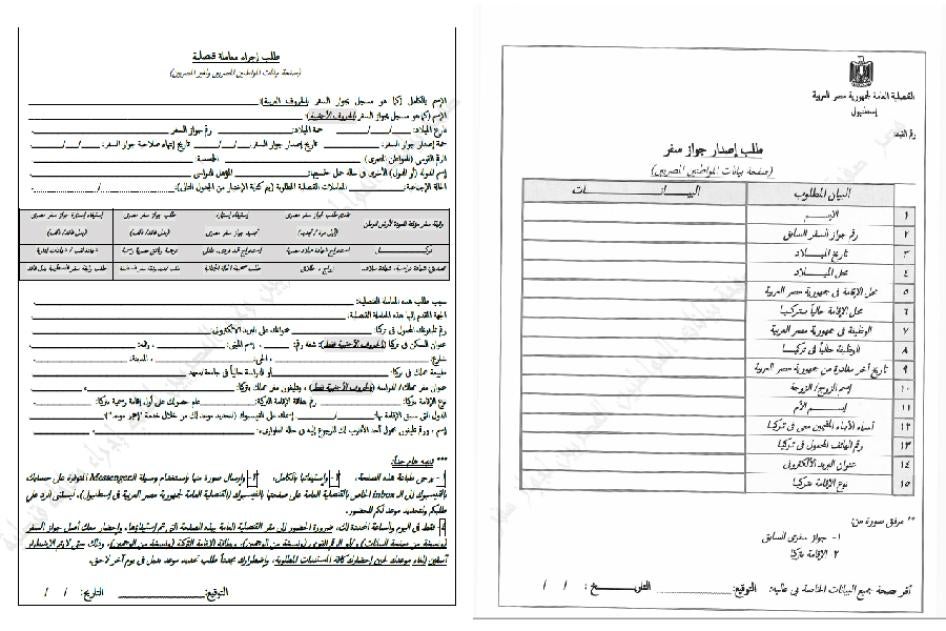 https://www.hrw.org/sites/default/files/styles/embed_xxl/public/media_2023/03/202303mena_egypt_passport_forms.jpg?itok=Z_2Mgi2D&utm_source=chatgpt.com