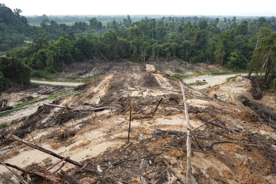 Deforestation due to plant palm oil plantations near Sandakan city, State of Sabah, North Borneo Island, Malaysia.