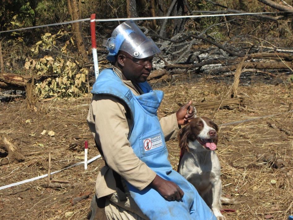 Deminer Bonfacio using a dog to help with mine detection in Manicia province, Mozambique.