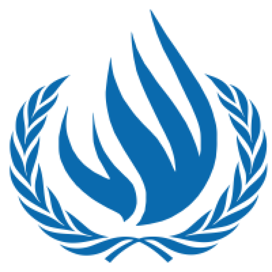 联合国人权理事会徽章