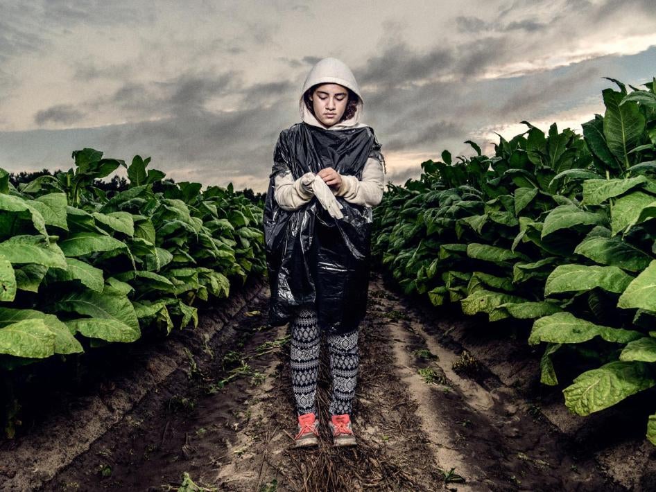 Elena G., une jeune fille de 16 ans, dans un champ de tabac du comté de Lenoir, en Caroline du Nord, revêtue de ses vêtements de travail.