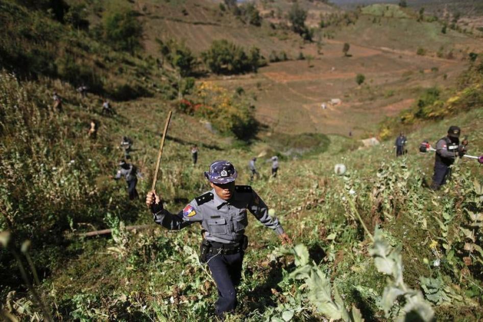 Policemen and villagers use sticks and grass cutters to destroy a poppy field above the village of Tar-Pu, in the mountains of Shan State January 27, 2012.
