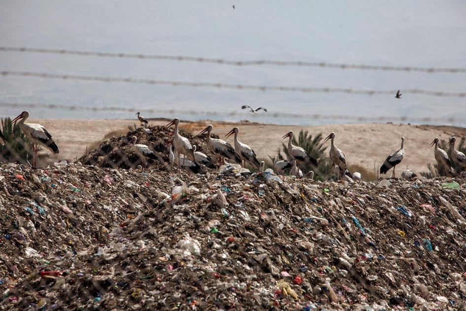 طيور اللقلق فوق أكوام القمامة في غور الأردن. هذا المدفن الواقع في الضفة الغربية المحتلة يخدم حصرا إسرائيل والمستوطنات. © 2015 يوراي ليبرمان