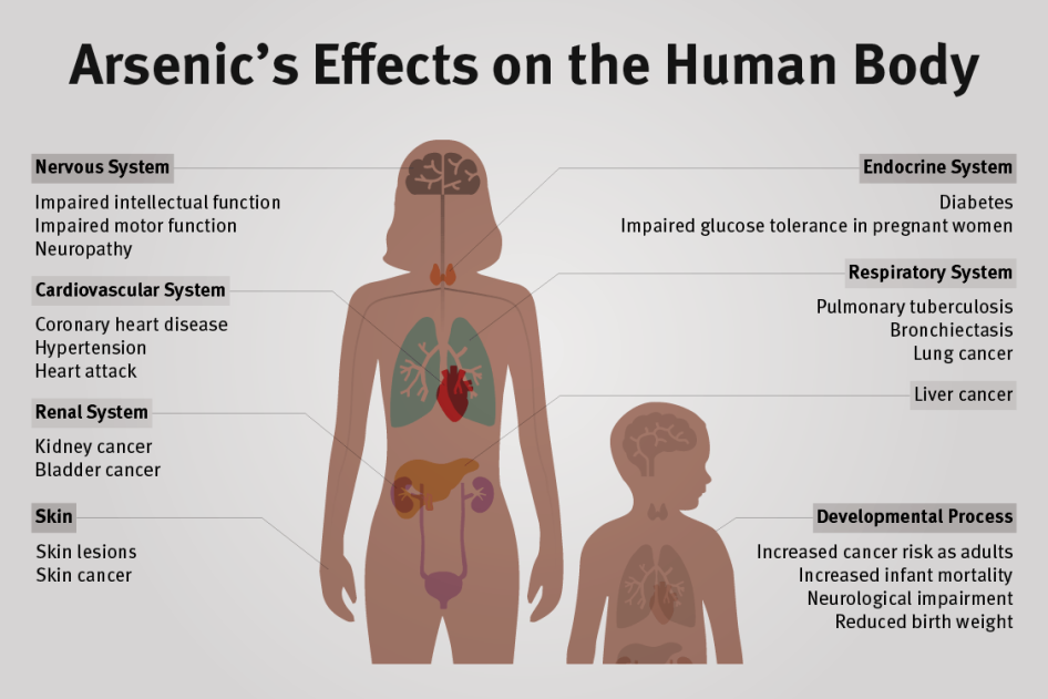 Arsenic effects