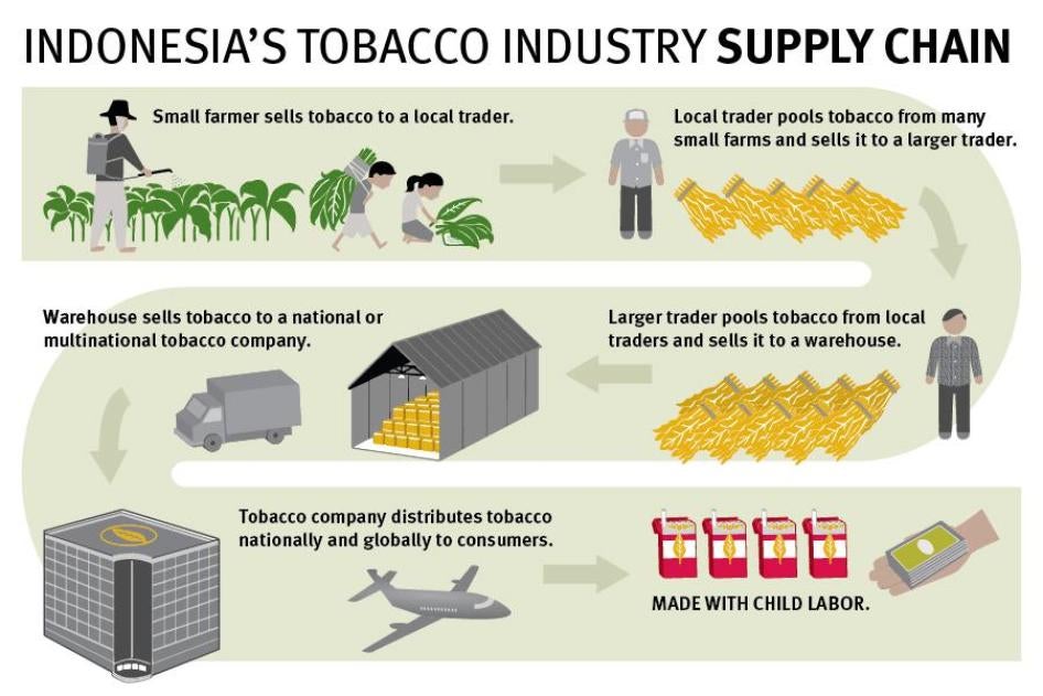 Indonesia's Tobacco Industry Supply Chain