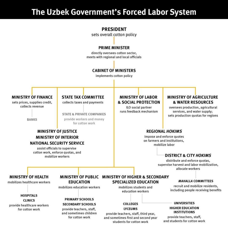 Graphic illustrating the Uzbek government's forced labor system (chain of command)  