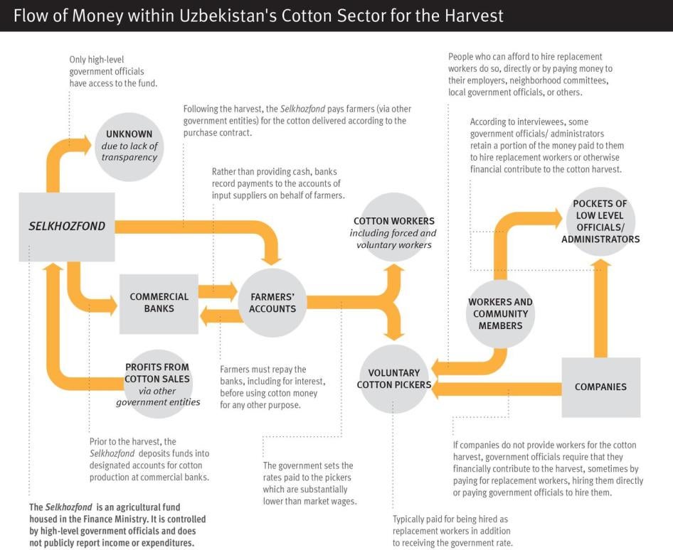 Graphic showing the flow of money within Uzbekistan's cotton sector for the harvest 