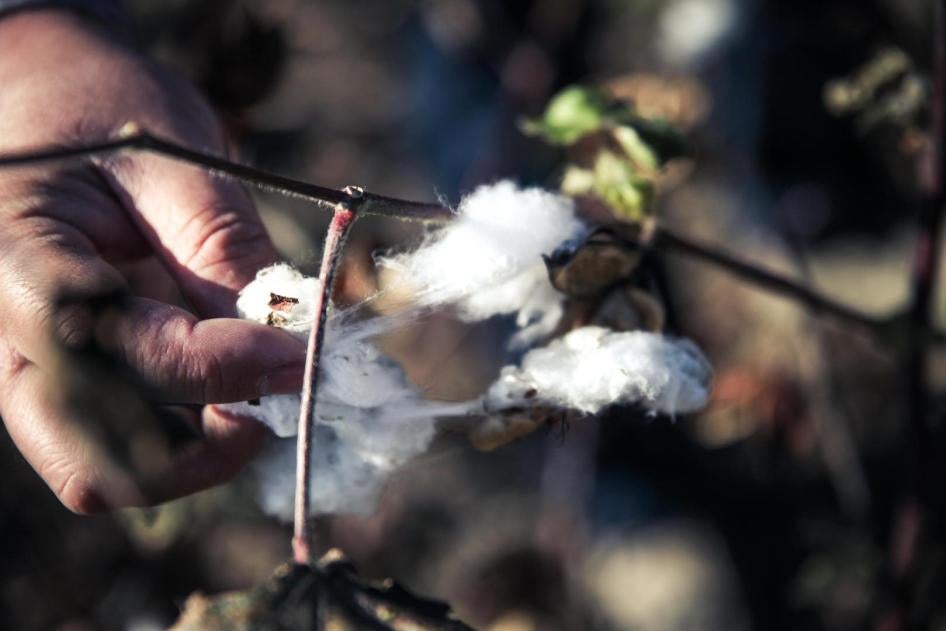 Cotton pickers are not typically provided gloves or protective clothing to protect them from pesticides or other hazards.