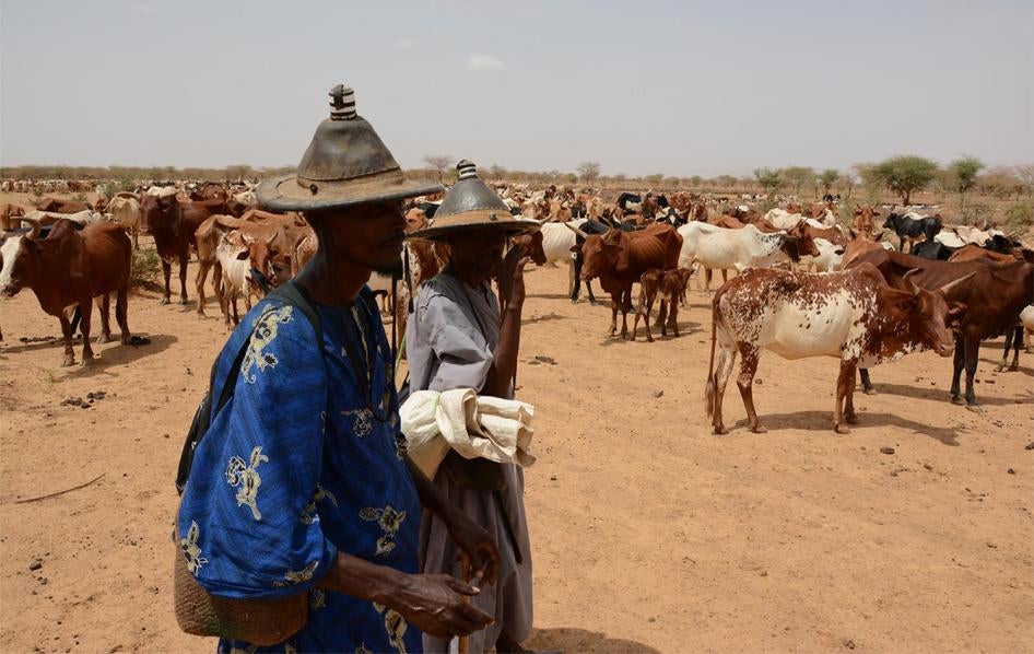Des éleveurs de bétail de l’ethnie Peul au sud de Douentza, au Mali, en juin 2016. Tout au long de l’année 2016, éleveurs et vendeurs de bêtes du centre et du nord du Mali ont souvent été pris pour cible par des bandits.