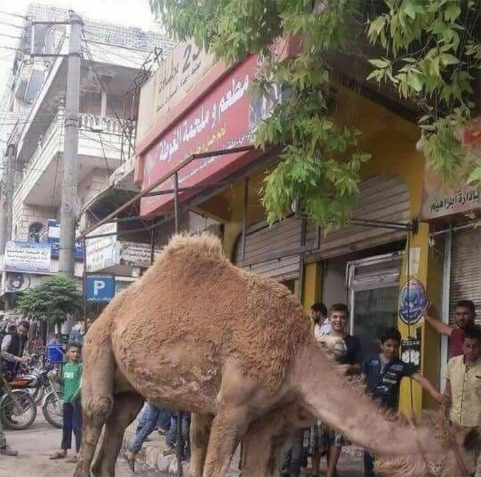 Camel in front of the Hussein’s studio which was turned into a butcher shop. © 2018 Private1)	Hüseyin’in kasap dükkanına dönüştürülen stüdyosunun önünde bir deve. © 2018 Özel