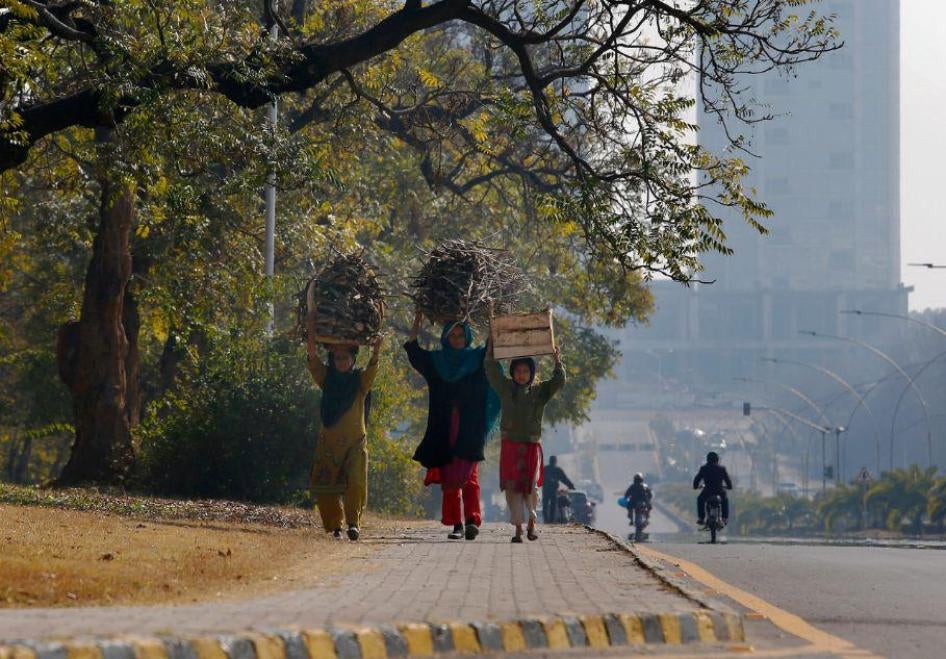 巴基斯坦妇女顶着柴薪回家炊食、取暖，巴基斯坦，伊斯兰马巴德，2019年1月26日星期六。