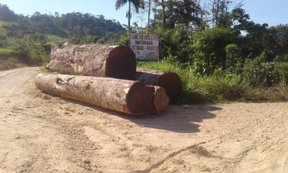 Madeira extraída ilegalmente por madeireiros em uma das estradas de terra do assentamento Terra Nossa em junho de 2019. Foto cedida pela Comissão Pastoral da Terra – Pará.